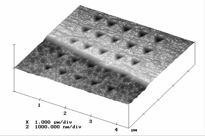 Fig. 2. Atom Force Microscope image of the array of nanoindents in two neighboring grains in polycrystalline cooper of very high purity.
