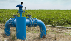 משבר המים - הגדלת יעילות השימוש במים בחקלאות בישראל