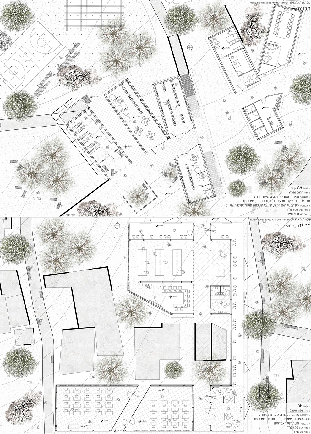 הפרויקט של רוי שירזי דרי: שכונת הארגזים | אקדמיה ורנקולרית לפיתוח ושיקום שכונות