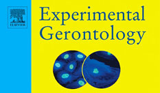 An article by researchers from HIT to be published in the Journal of Experimental Gerontology
