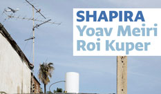 "Shapira": A Neighborhood in Flux