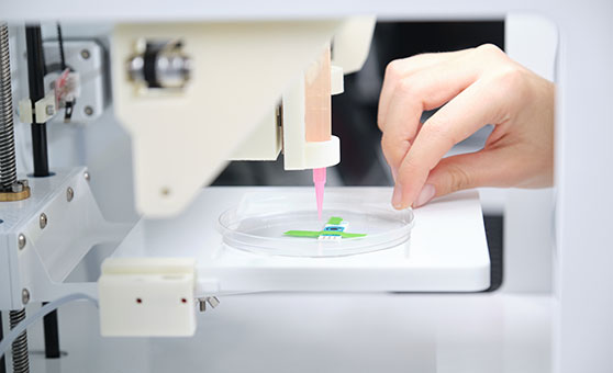 HIT 3D Bioprinting and Bio-convergence Laboratory-BBL Lab
