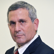 Mr. Feldschuh Joel