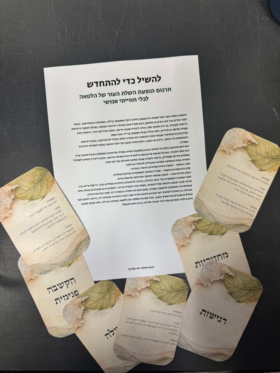 פרויקט להשיל כדי להתחדש | תהליך השלת העור בלטאות כמודל להתפתחות אישית