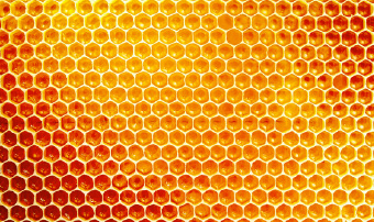 ממוח יחיד למוח-כוורת:
שיתופי פעולה בעיצוב פנים